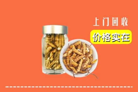 海东市互助回收散虫草