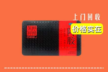 海东市互助回收阿胶