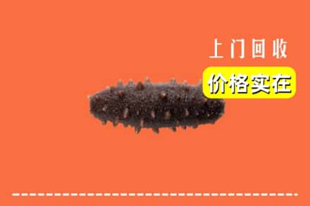 海东市互助回收海参