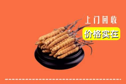 海东市互助回收冬虫夏草
